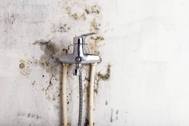 Best Post-Flood Mold Remediation in Prairie Du Sac, WI