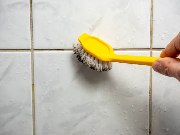 Best Industrial Mold Remediation in Prairie Du Sac, WI