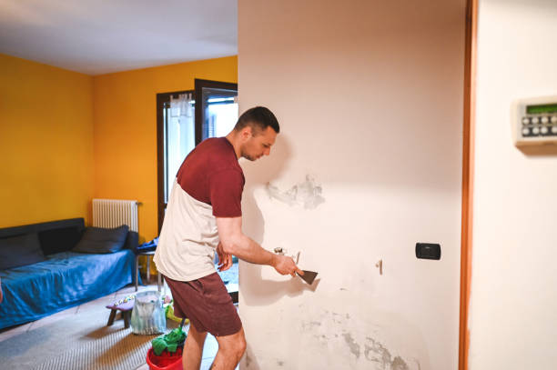 Best Preventive Mold Services in Prairie Du Sac, WI